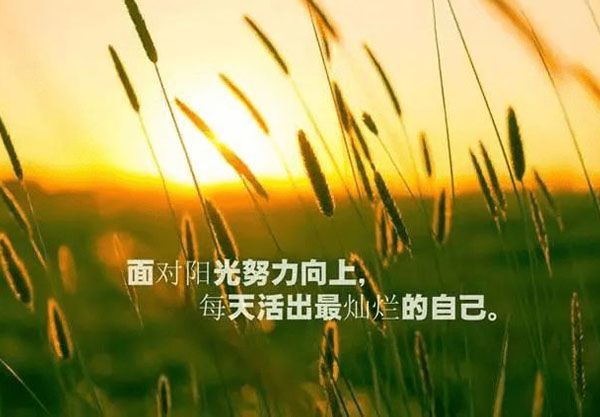 《賦能團隊正能量》--打造高效團